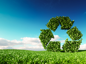 Sustainability & recycling